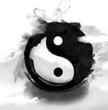 The Chinese Zodiac: A Journey into Ancient Wisdom